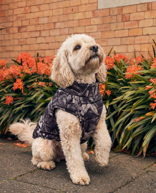 HUFFER PUFFER DOG JACKET WOODHILL/BLK