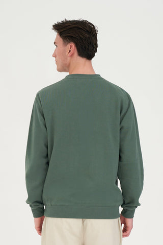 CLASSIC CREW/BASIS SAGE GREEN