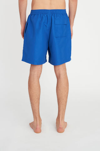 STAPLE TRUNK/CARVED ELECTRIC BLUE