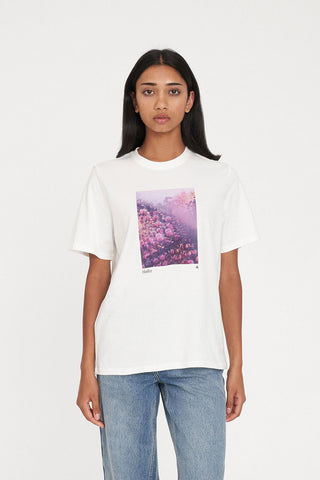 CLASSIC TEE 170/ROSE TINTED CHALK